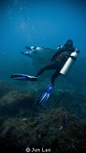 an hour with mantas at manta point by Jun Lao 